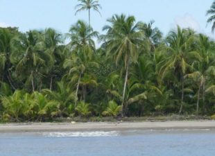 Indio Maiz Biological Reserve, Nicagragua.