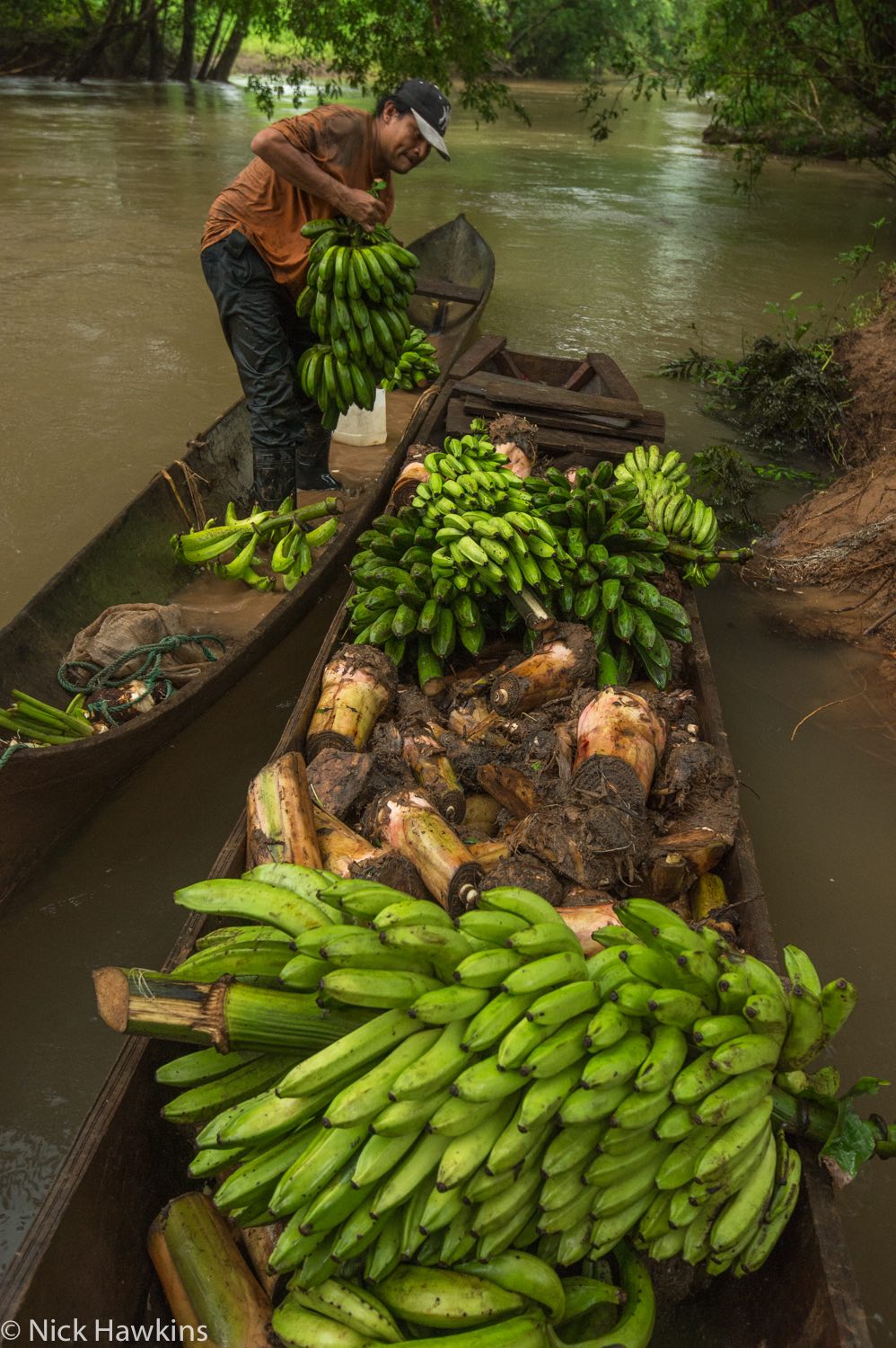 Rama man loads canoe with bananas