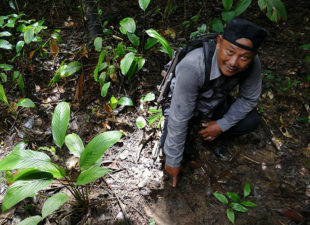 A-ranger-shows-us-a-Javan-Rhino-footprint