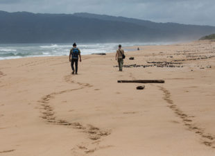 David and Barney walk down the beach in Ujung Kulon National Park, Java