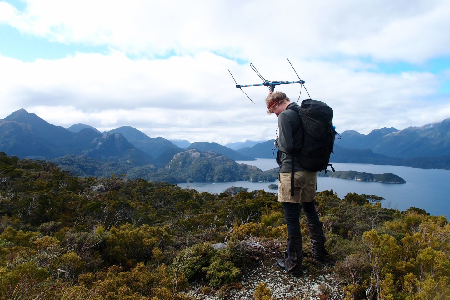 Ranger Freya with telemetry gear