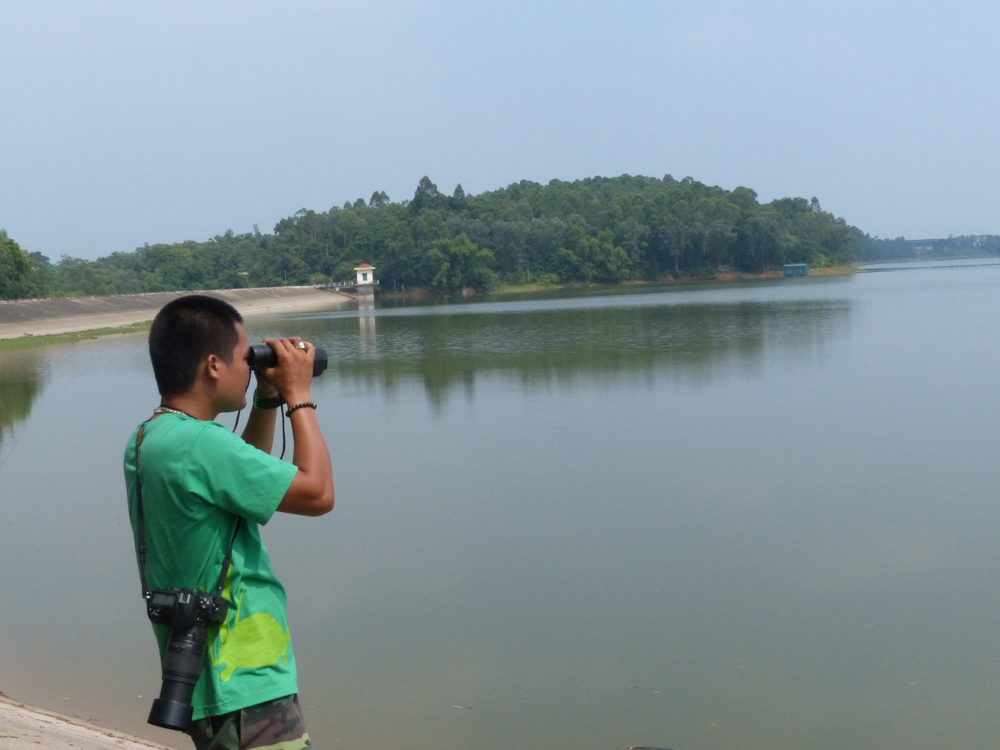 Staff member looking for turtles