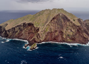 Redonda, months following the removal of rats and goats from the island