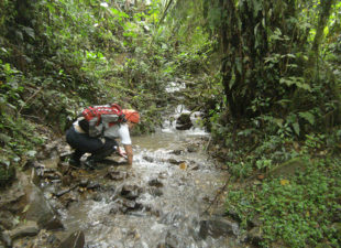 Sehuencas Water Frog, Bolivia