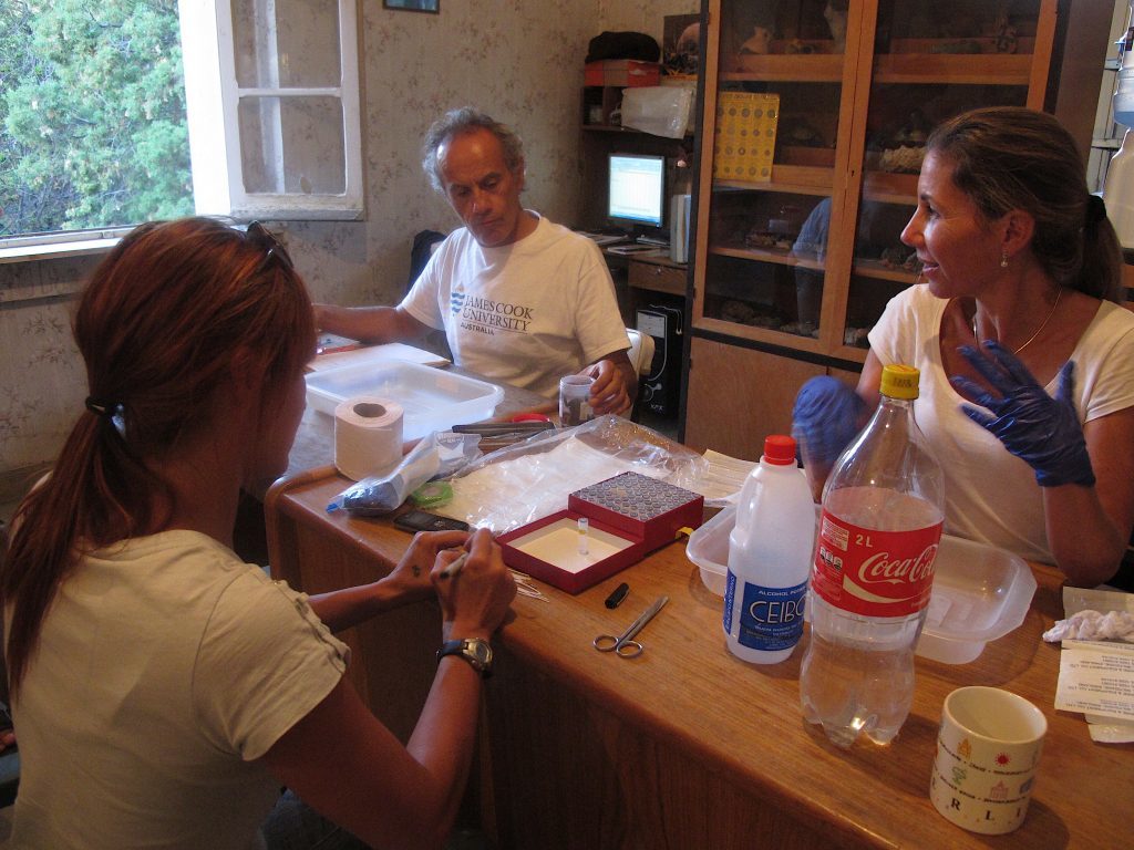 De la Riva working at the Museo de Historia Natural Alcide d'Orbigny. (Photo courtesy of Ignacio De la Riva)