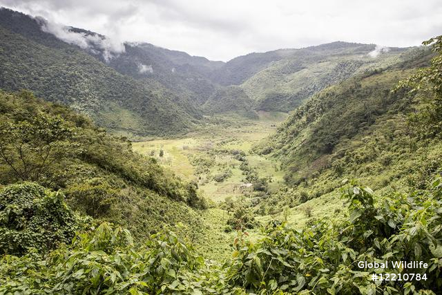Cuchumantes Sleeping Baby Reserve