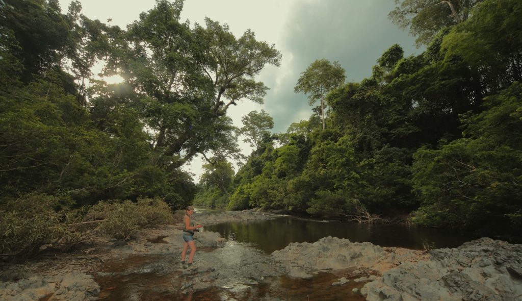 Searching for clearwing moths on the riverbank. (Photo by Paolo Volponi)