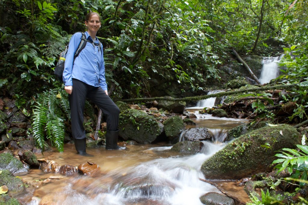 Richards-Zawacki in historic golden frog habitat. (Photo by Brian Gratwicke, Smithsonian Conservation Biology Institute)