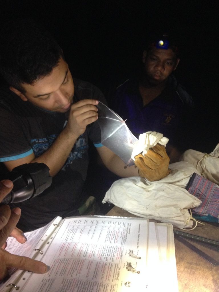 Yuri Aguirre explains how to measure, weigh and identify bats during a GWC-run field course with a local university in Bluefields, Nicaragua. (Photo by Chris Jordan)