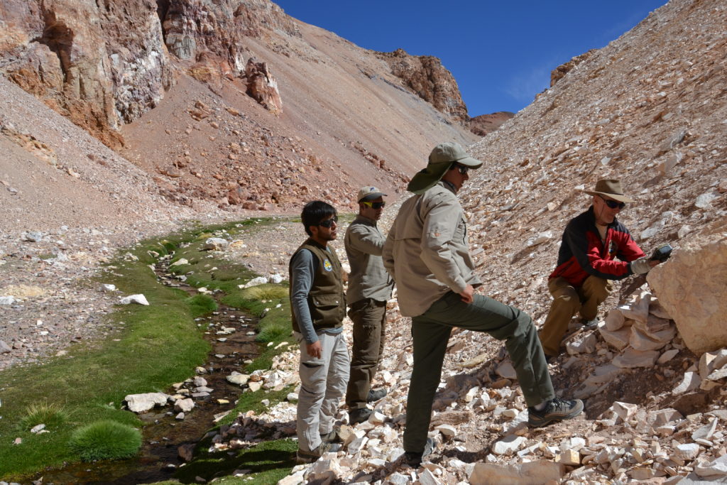 Placing camera traps with rangers from Nevado Tres Cruces National park and GWC’s Jim Sanderson in Chile. (Photo by C. Napolitano)
