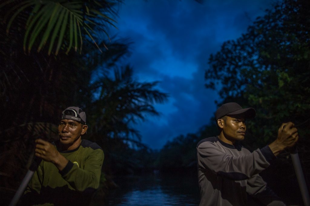 The Javan Rhino is active both during the day and night. We began our searches under the cloak of darkness and kept going until night had fallen, resting only in the heat of midday, to increase our chances of seeing an animal.