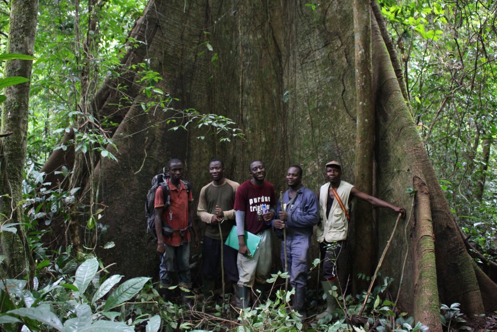 A Rocha’s field team in front of a Kapok Tree in Atewa Forest. (Photo by Jeremy Lindsell)