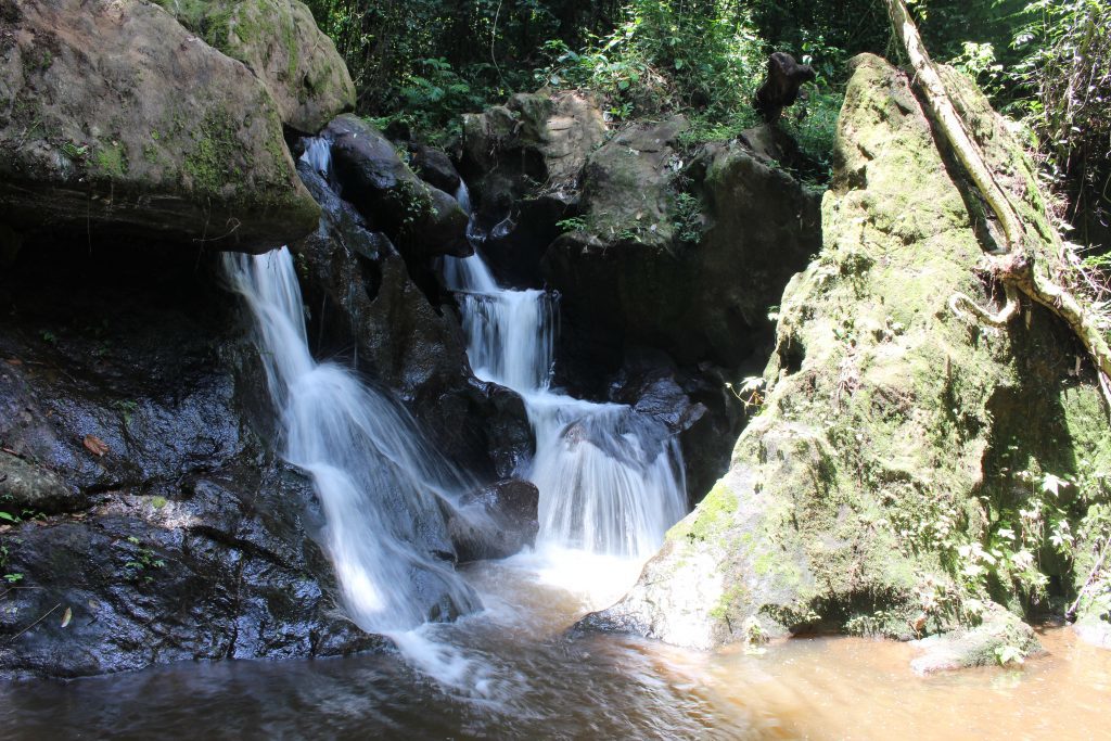 Atewa Forest helps provide drinking water to more than 5 million people in Ghana. (Photo by Jeremy Lindsell)