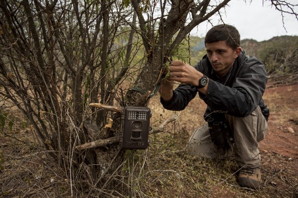 GWC’s Chris Jordan sets a camera trap on the side of a trail in Argentina’s Condor Valley. (Photo by Robin Moore)