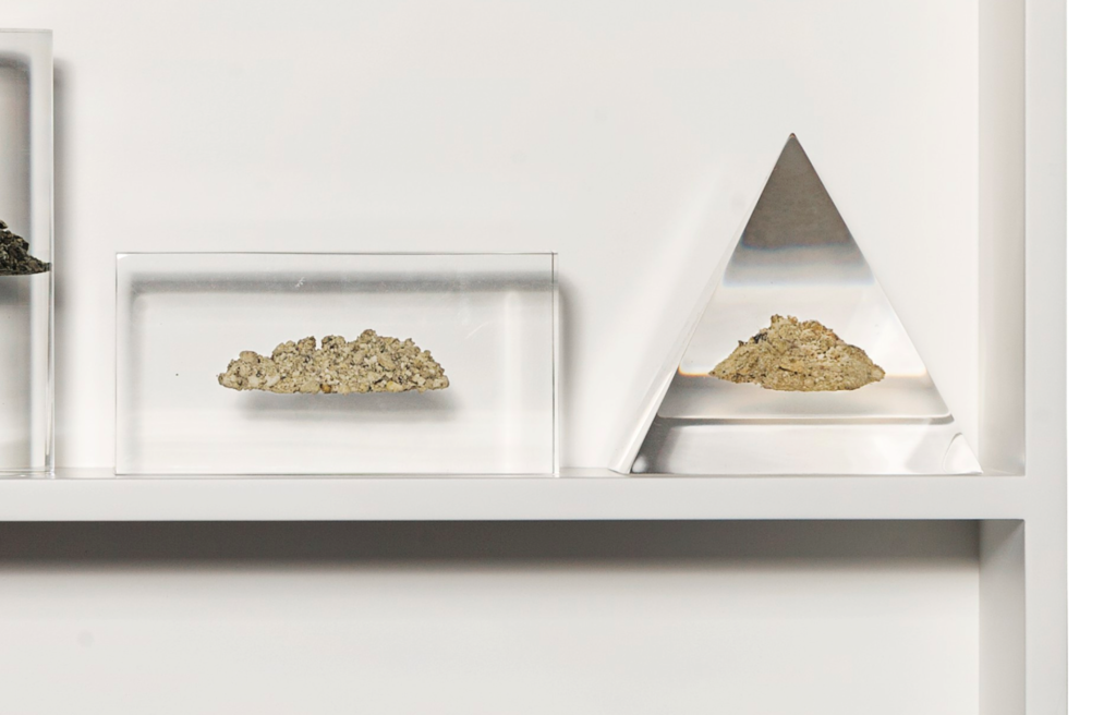 Academic Forms with Rocks (Detail)