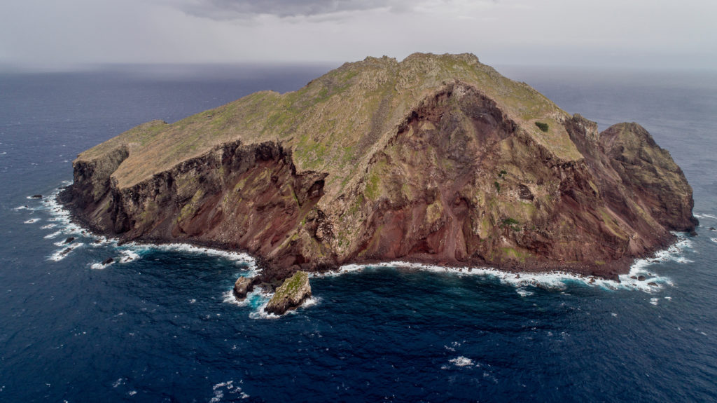 Redonda Island as it transforms from a lunar landscape to a lush green island teeming with life. (Photo by Robin Moore, Global Wildlife Conservation)
