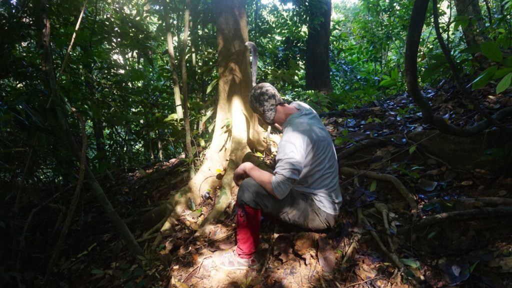 Setting up camera traps in the forests. (Photo courtesy of Andrew Tilker)