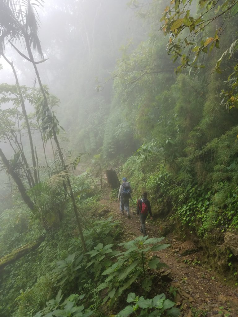 Tom and Nikki hike the trails in the Sierra Nevada de Santa Marta while on amphibian surveys. (Photo by Dr. Jan Schipper)