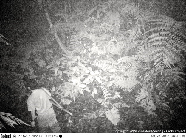 A hunter caught on camera trap. (Photo courtesy of WWF-Greater Mekong/CarBi Project)