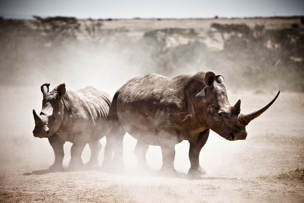 Photo by Robin Moore, Global Wildlife Conservation