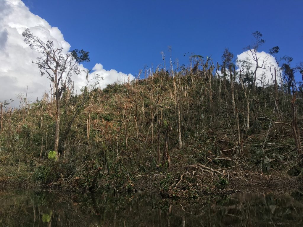 Cucaracha Hill in Indio Maíz is one of the most significantly damaged locations. Very few trees were left unscathed by Hurricane Otto. (Photo by Camilo de Castro Belli)