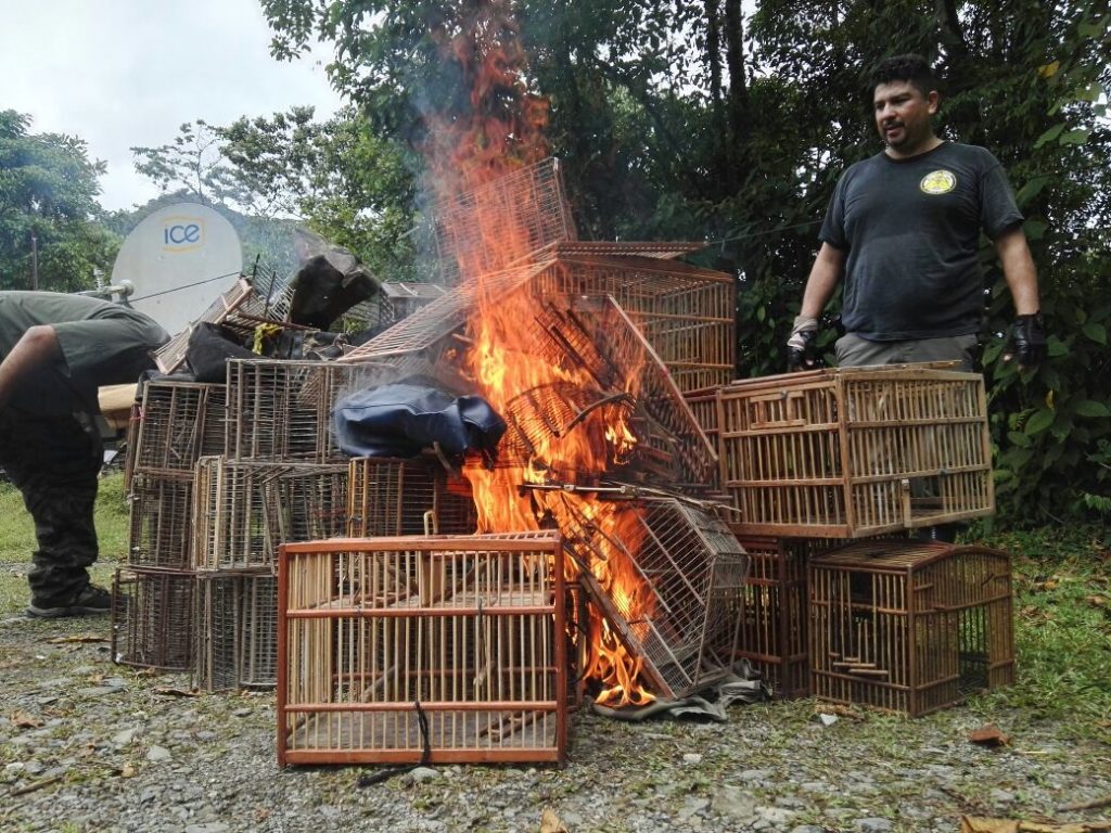 Rangers have played a key roll stopping illegal wildlife traffic in Costa Rica. (Photo by Mauricio Hernandez)