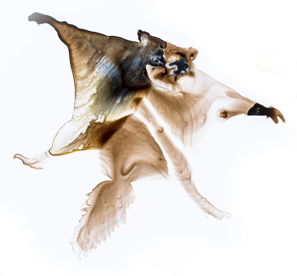 Namdapha-Flying-Squirrel