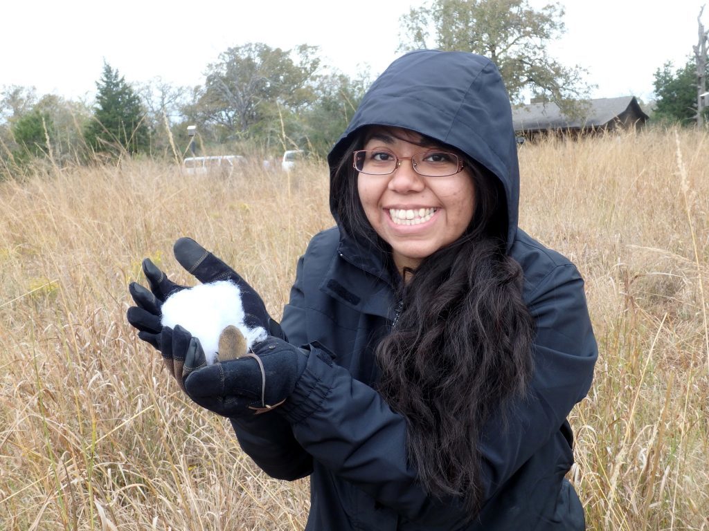 Wendy in the field with a rodent.