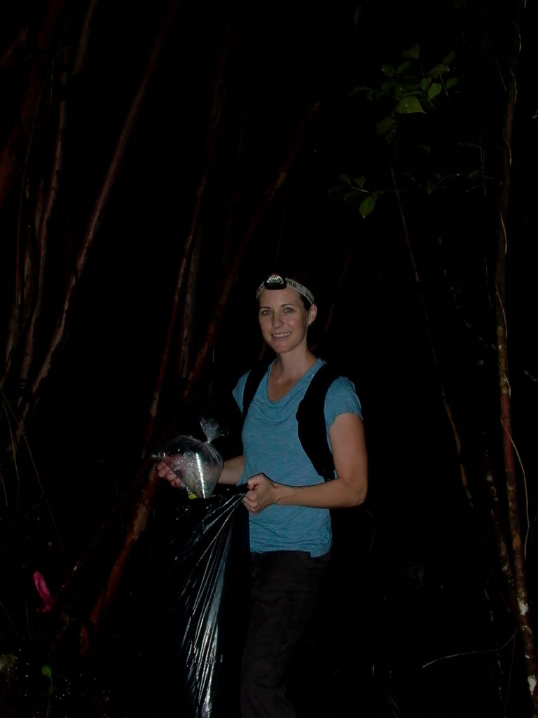 Collecting frogs for chytrid research: a garbage bag full of bags of live frogs. (Photo courtesy of Penny Langhammer)