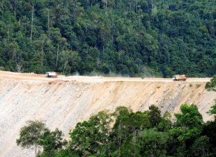 Quarry-in-tropical-forest