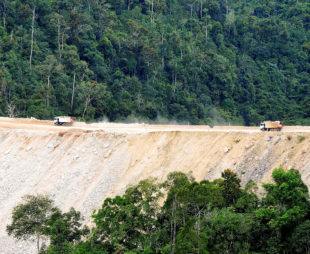 Quarry-in-tropical-forest