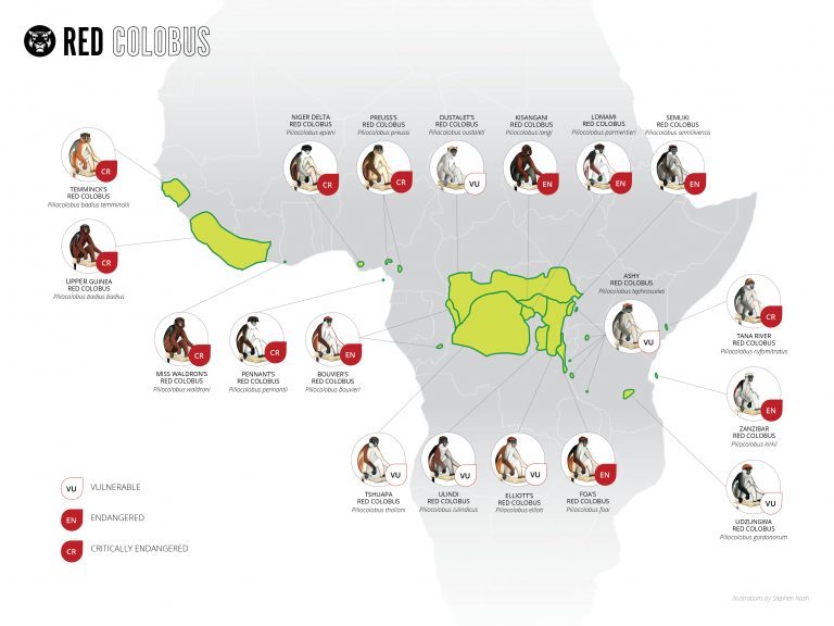 Red Colobus Map
