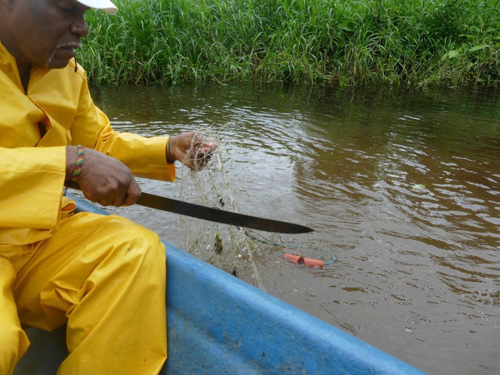 Removing an illegal fishing net.