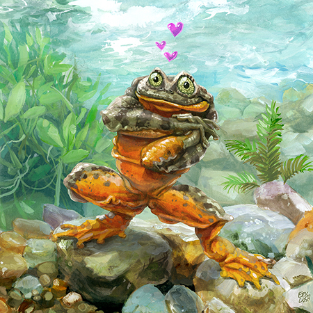 Sehuencas-Water-Frog-illustration