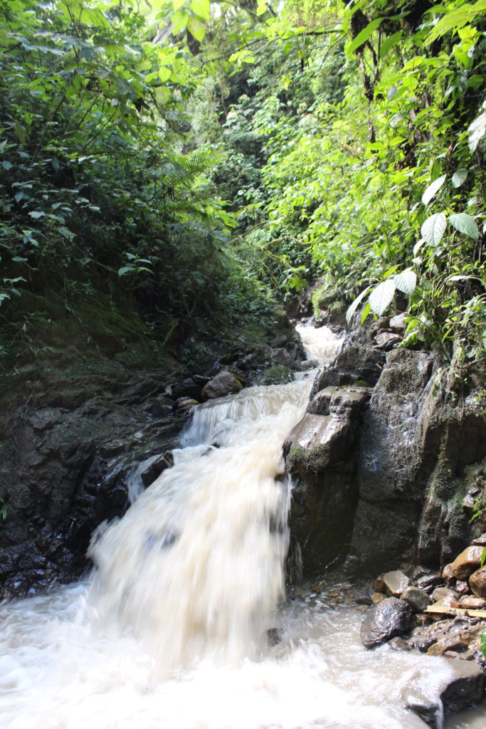 waterfall
