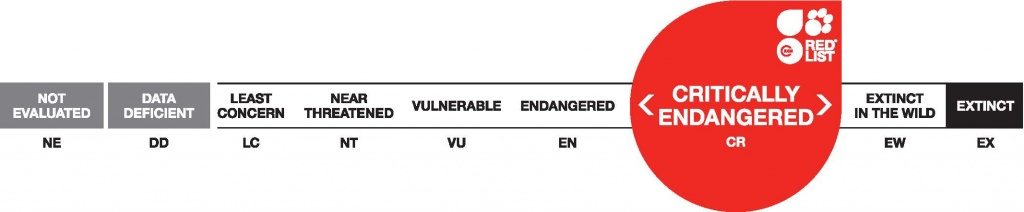 IUCN Red List threat categories.