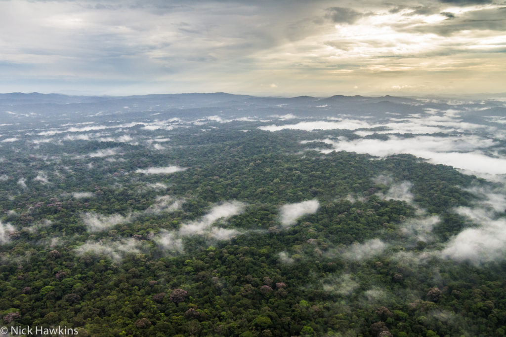 Ariel view of Indio Maiz, Nicaragua. (Photo by Nick Hawkins)