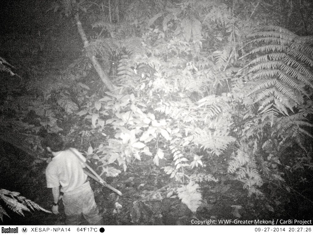Camera traps not only provide valuable images of elusive species, but sometimes capture the poachers threatening those species.