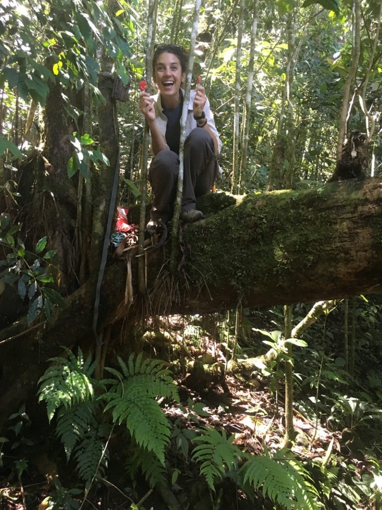 Setting an arboreal camera trap using cherry-flavored lollipops as bait!