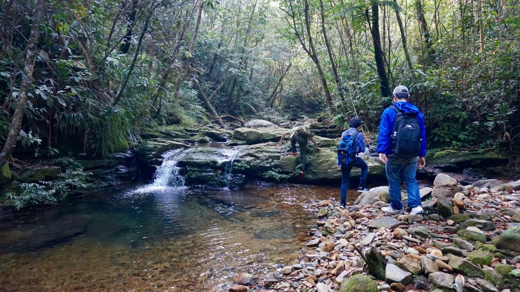 Andrew Tilker and conservation team work in Annamite Striped Rabbit habitat. (Photo courtesy of Andrew Tilker)