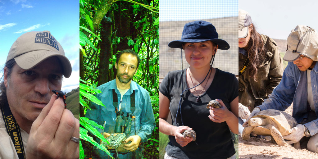 2018 Sabin Conservation Prizes Recognize Vital Work in Amphibian, Turtle and Primate Conservation