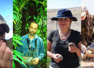 2018 Sabin Conservation Prizes Recognize Vital Work in Amphibian, Turtle and Primate Conservation