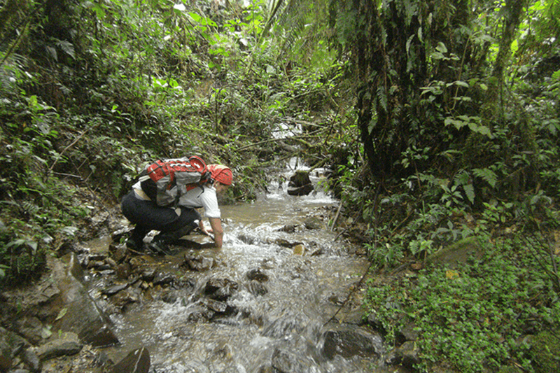 Scientist searching in a protected area