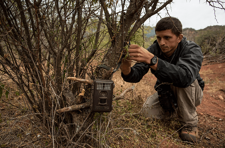 Dr. Chris Jordan setting camera trap in a protected area