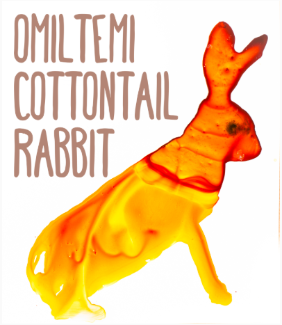 Lost species Omiltemi Cottontail Rabbit