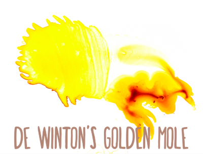 De Wintons Golden Mole illustration