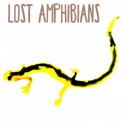 Lost species of amphibians