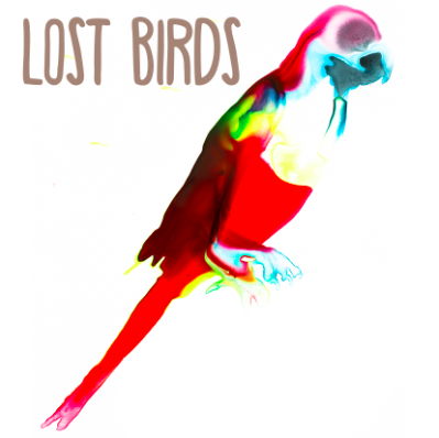 Lost species of birds