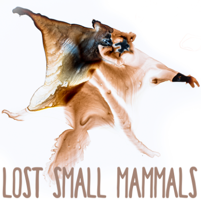 Lost small mammals illustration