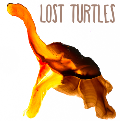 Lost Species of Turtles